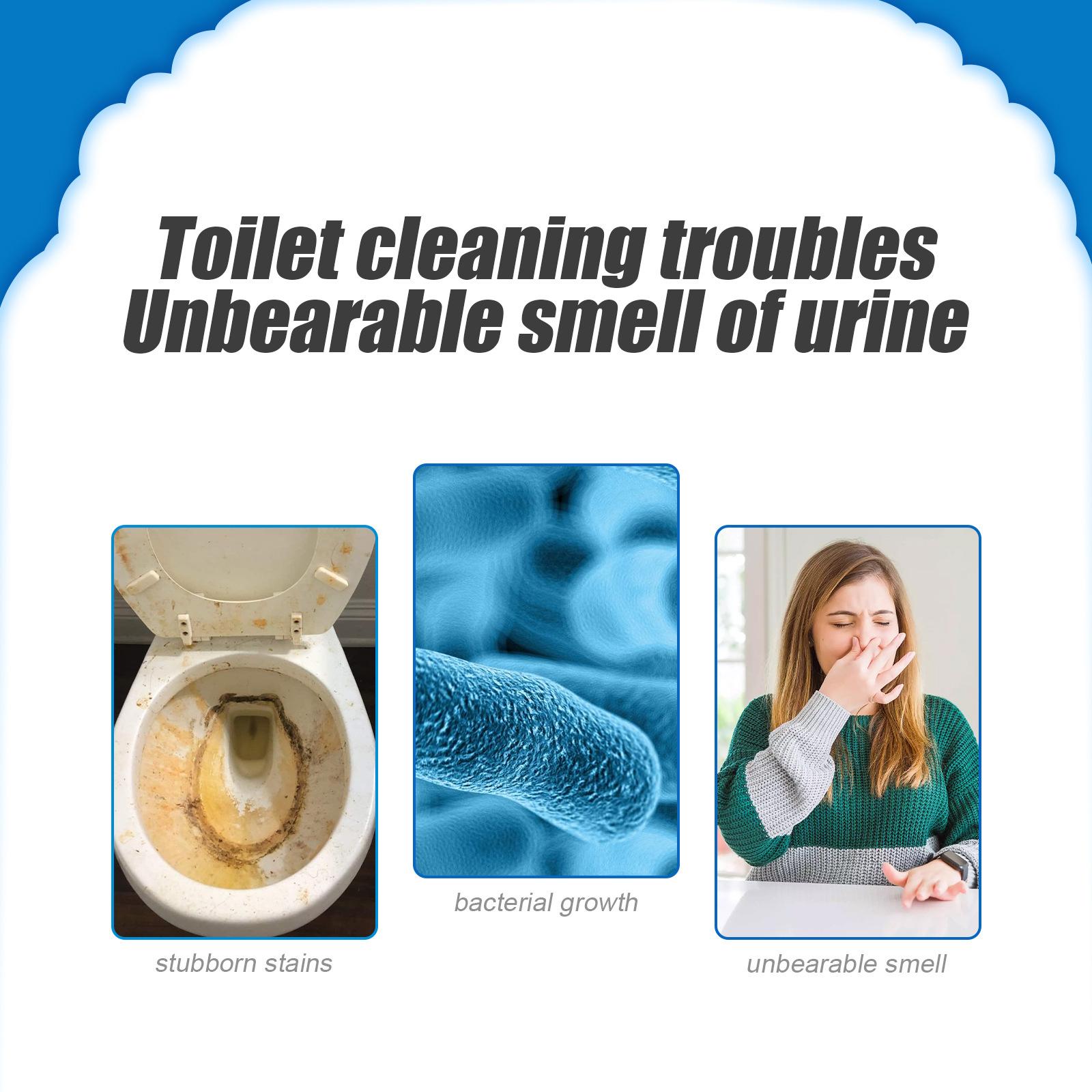 Bubuk Pembersih Toilet Penghil - Home Bathroom Cleaning Solution ulasan dan harga